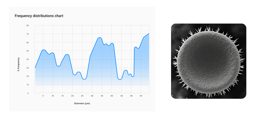 SEM 이미지 분석